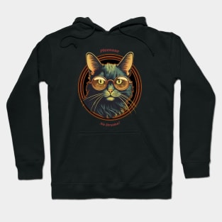 Cool Cat Donning Glass – Pleeease No Drama Hoodie